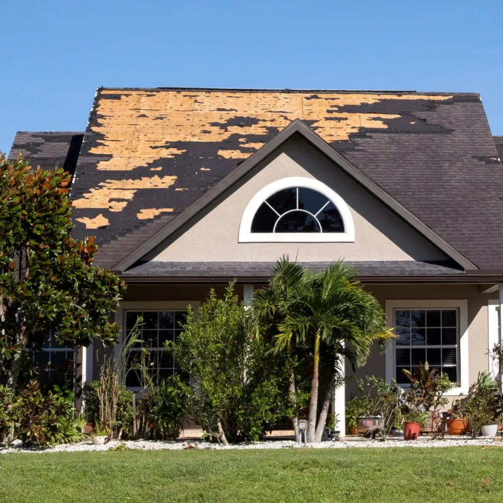 A house with extensive roof damage; shingles are missing from the upper portion, exposing the underlying wood. The yard is landscaped with bushes, potted plants, and a palm tree. The sky is clear and blue.